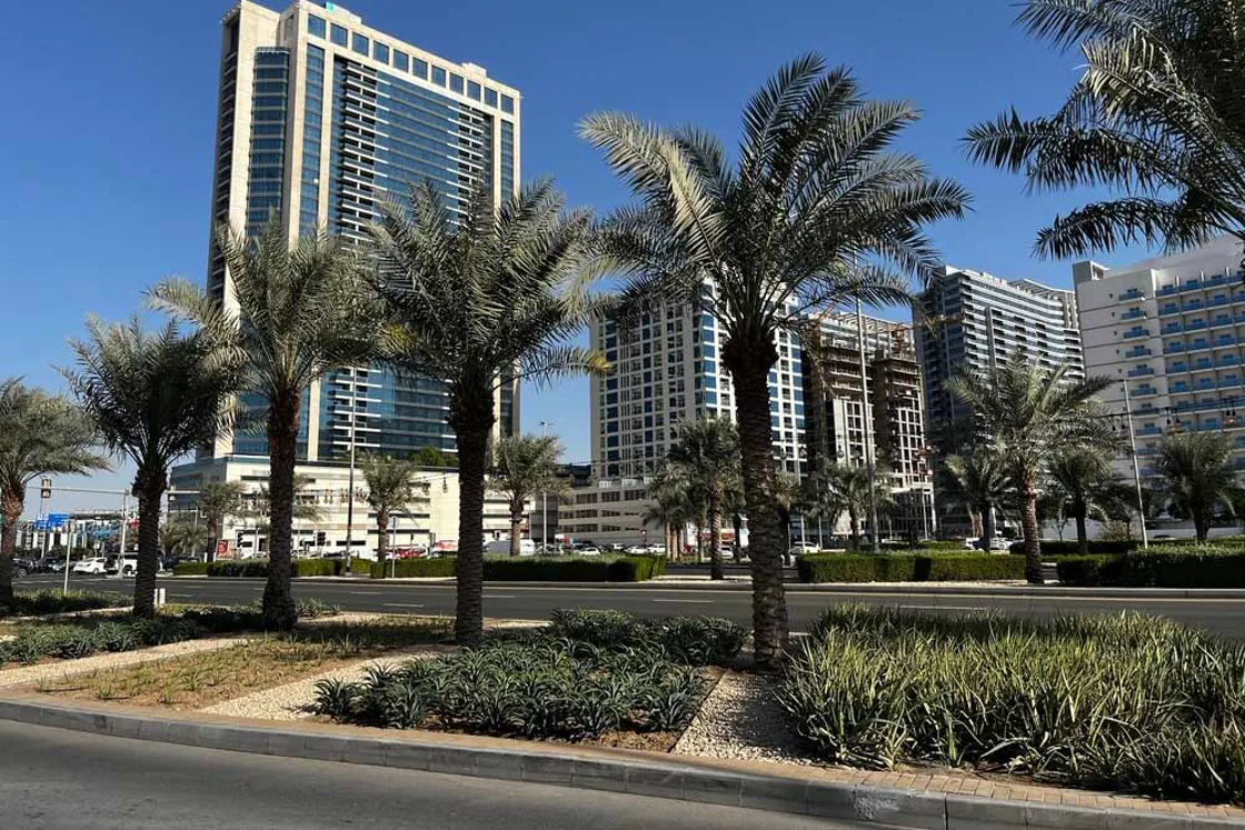 https://fojmsfhwlnknttoydqjb.supabase.run/storage/v1/object/public/project-media/the-acres-meraas/area/dubai-land-residence-complex-dlrc.webp